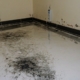 presence of black mold in home